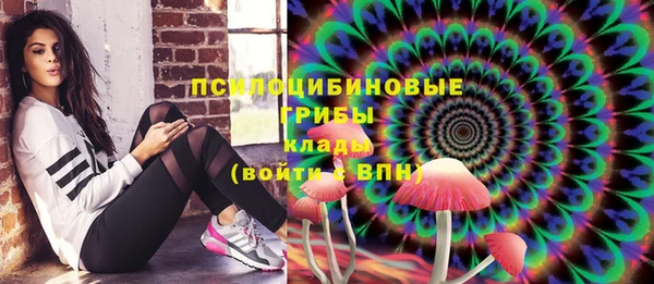 мдпв Волосово